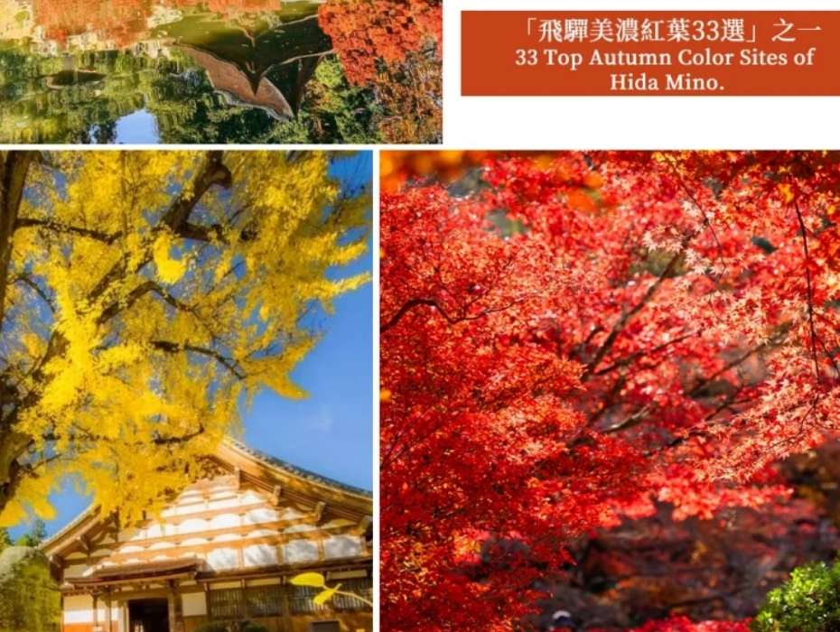 企业微信截图_17847719708172.webp