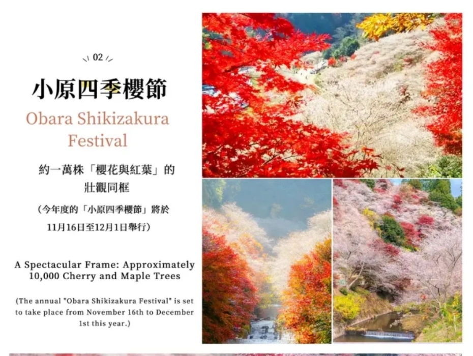 企业微信截图_17847719761820.webp