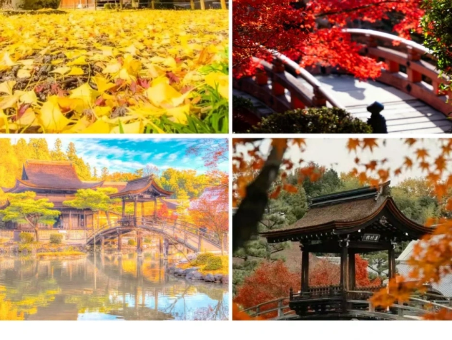 企业微信截图_17847719732477.webp