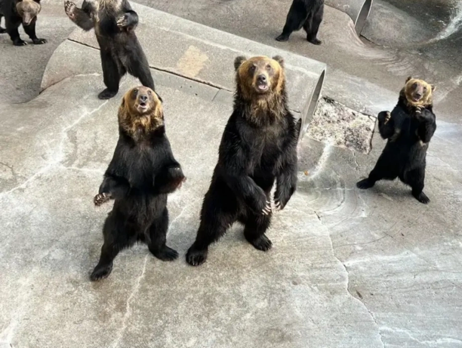 資訊配圖 3