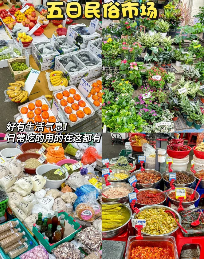202607231356-1033085252.png image.png