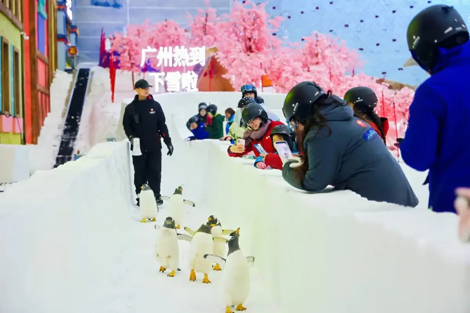 1lo5f12000szzu5pi70C8_C_1200_800_R5_Q60_webp.webp