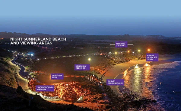 202607241535-8625981871.jpg PP-at-night-aerial-shot-with-viewing-areas__ResizedImageWzYwMCwzNjdd.jpg
