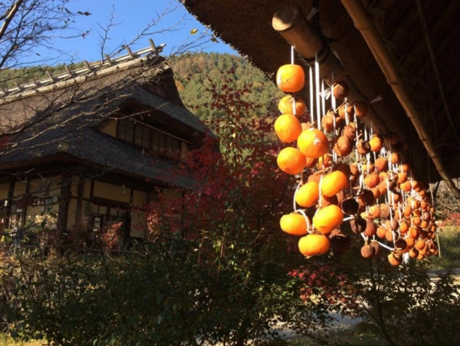 資訊配圖 1