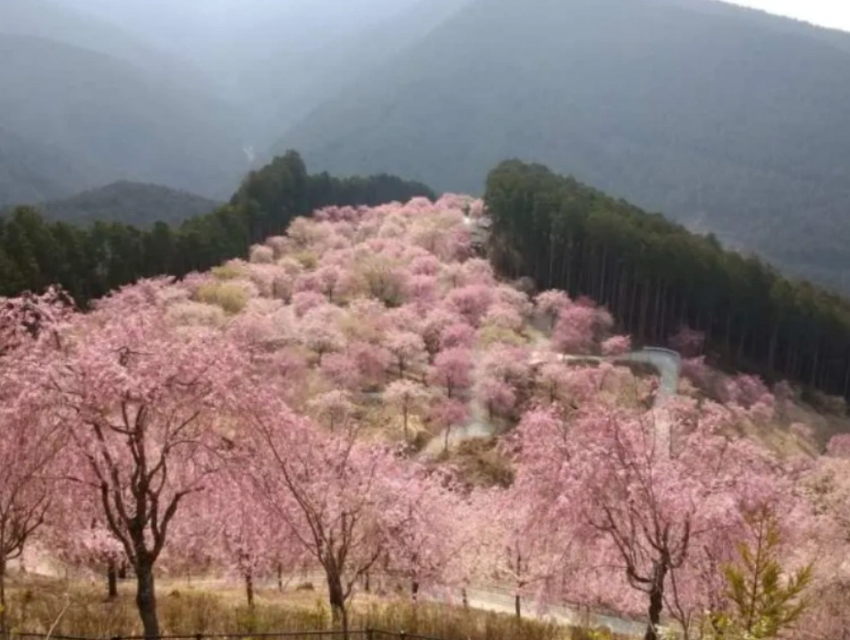 資訊配圖 3