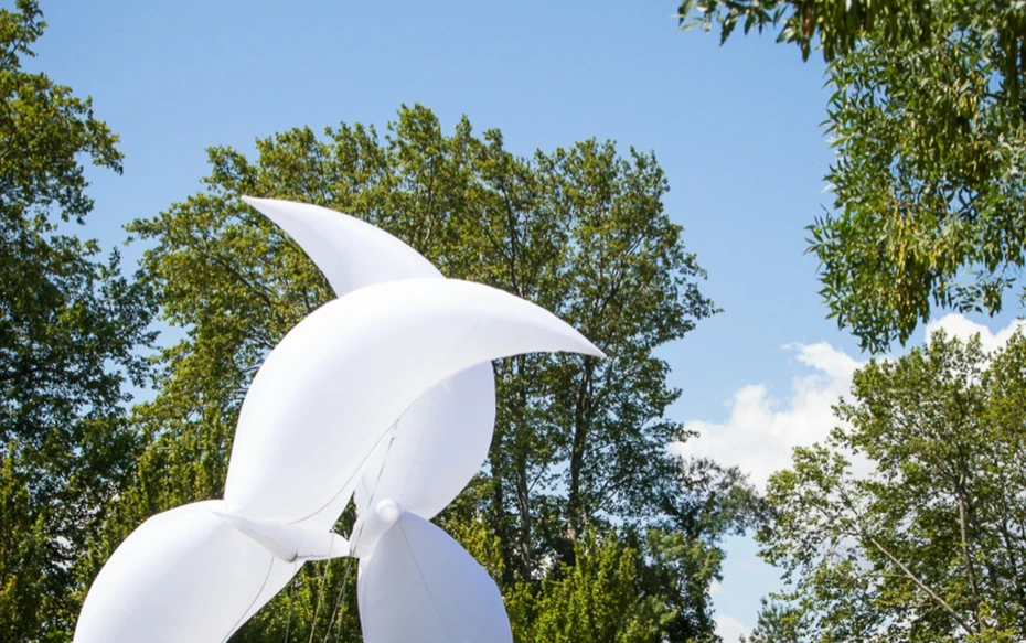 ScreenShot_2026-07-27_122130_168_webp.webp
