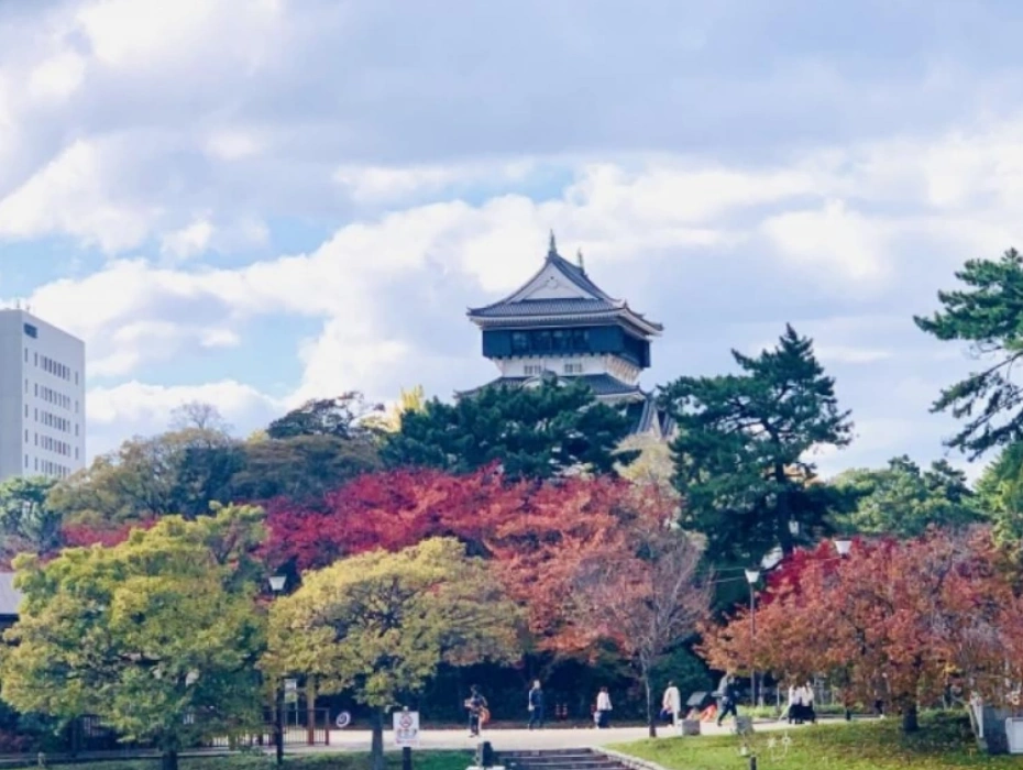 資訊配圖 2