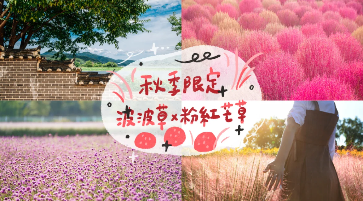 大圖