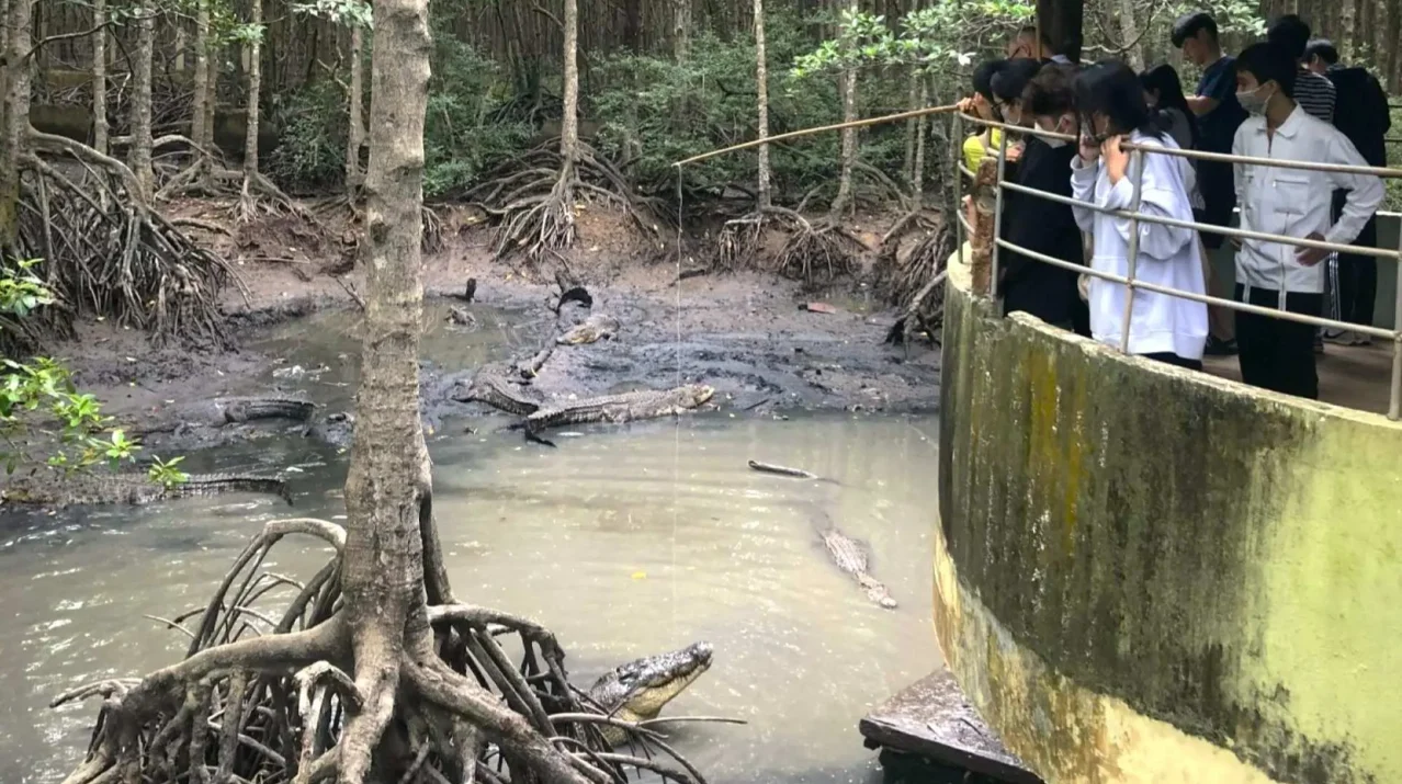 資訊配圖 2