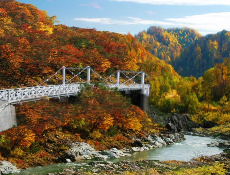大圖