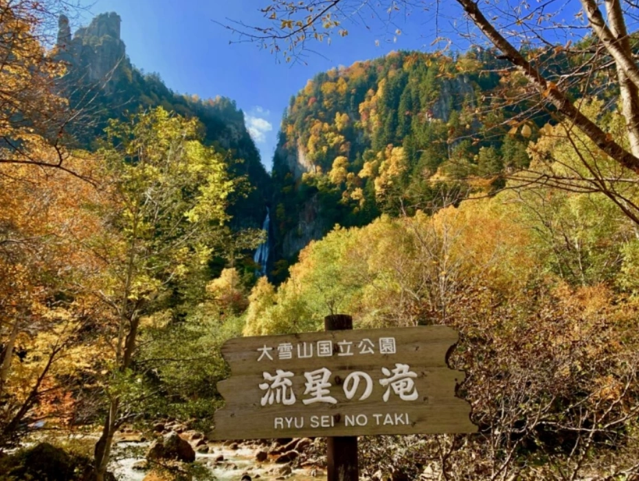 資訊配圖 2