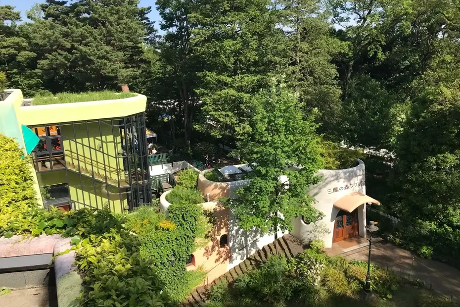 202608031722-7990486312.webp 6日本三鷹之森.webp