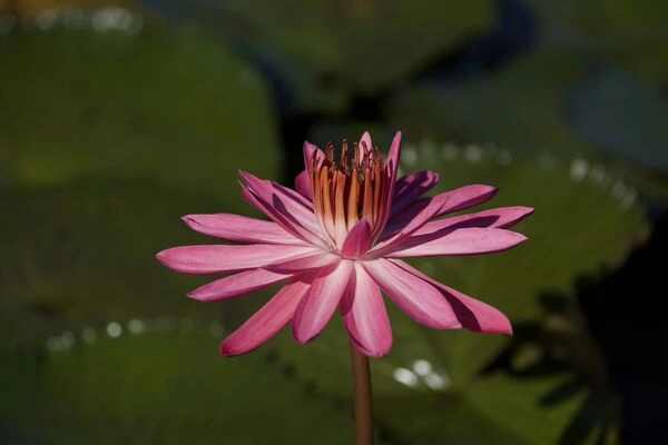 c59435ee47b4652df73bfea0eb3f716a_副本.webp