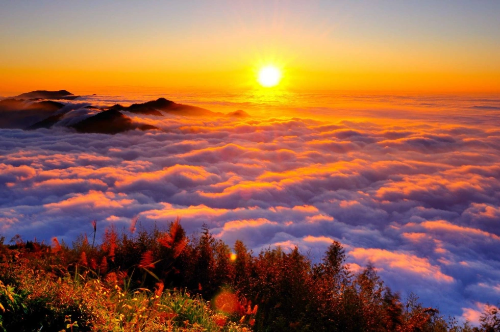 202608040952-8223894402.webp 7e9f0d3dbe06bee5dff21728e4d24e18_副本.webp