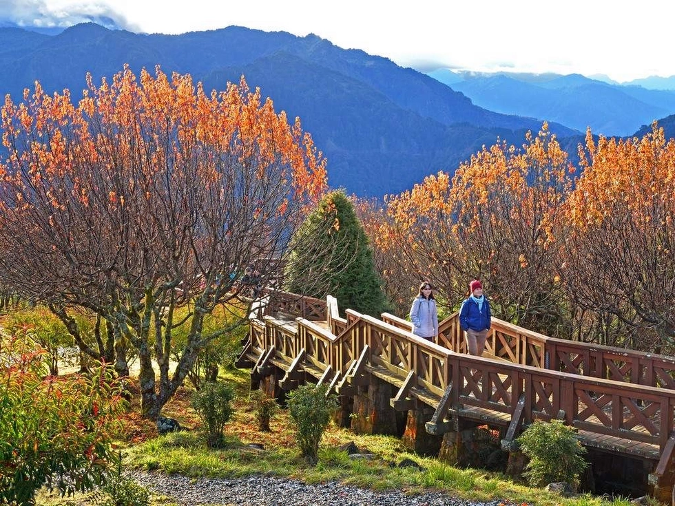 202608040953-8997553083.webp 07abef2d6aa1eb72054383180f311b6b_副本.webp