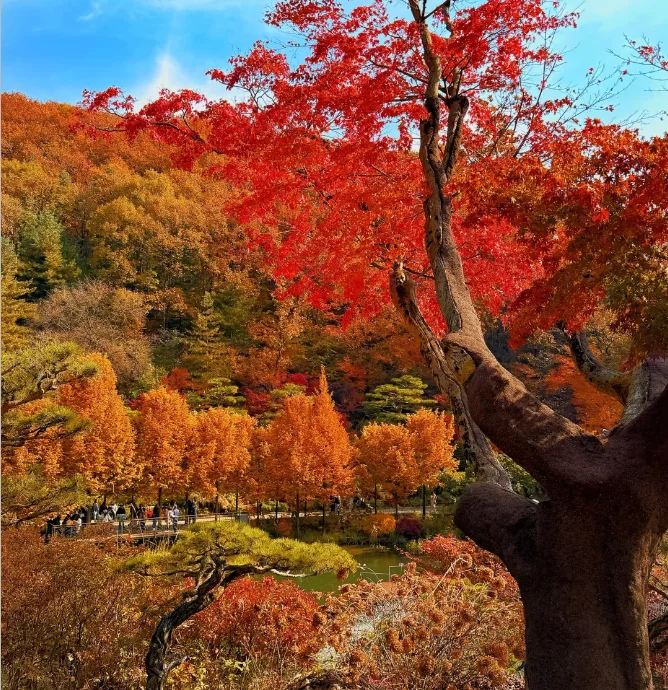 202608041142-7755620390.png image.png