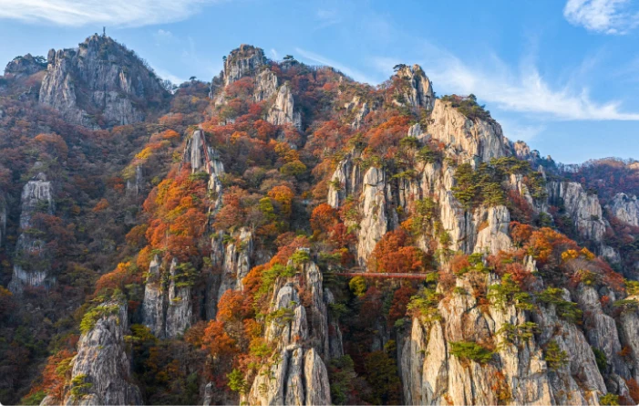 資訊配圖 2