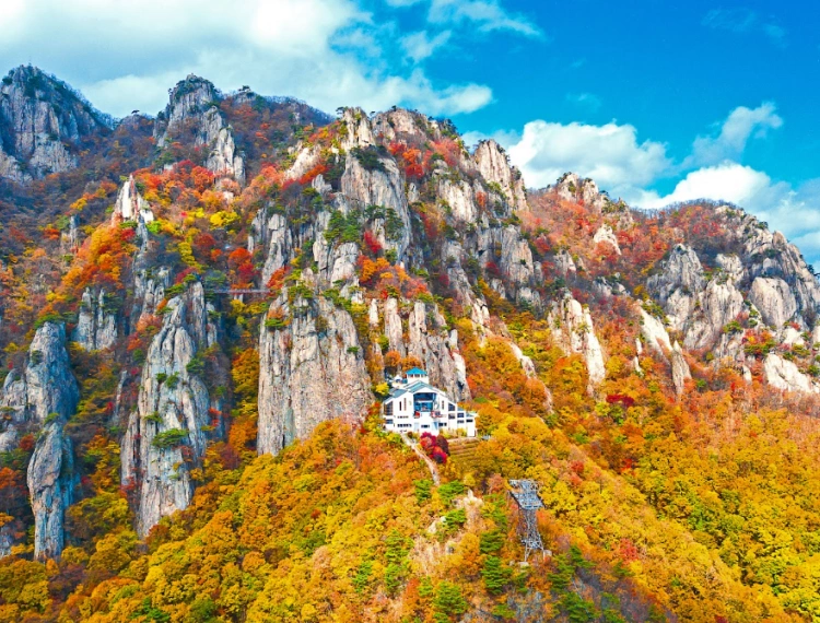 大圖