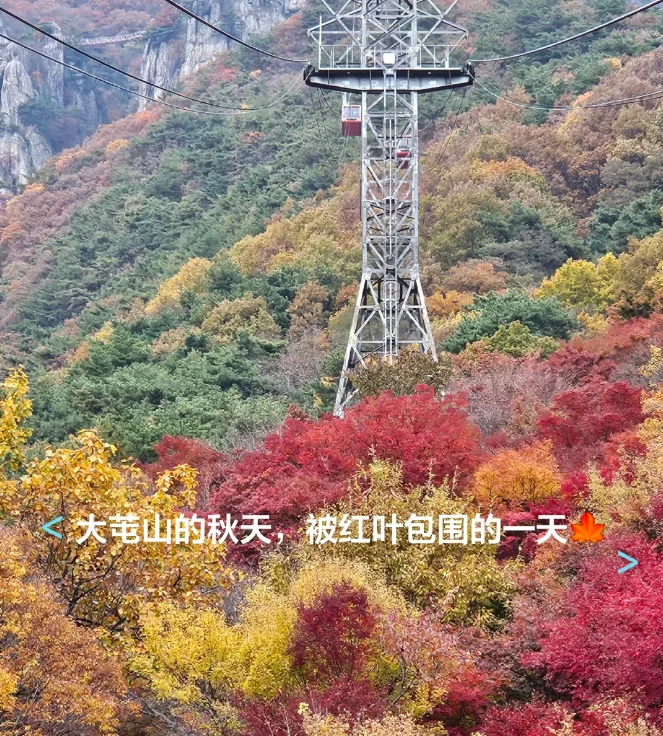 202608051546-8377387202.png image.png