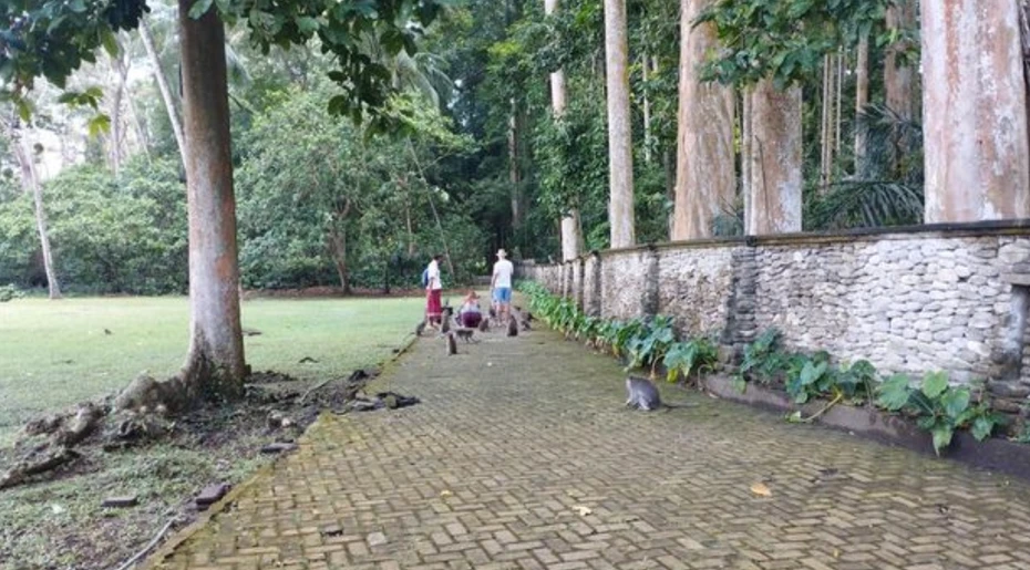 ScreenShot_2026-08-06_123601_341_webp.webp