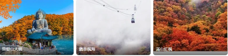 202608061513-7168992123.png image.png