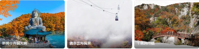 202608061516-2127849090.png image.png