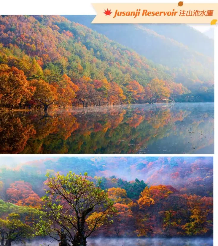 202608100924-7368572552.png image.png