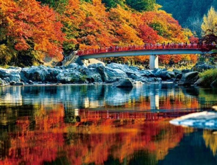 大圖