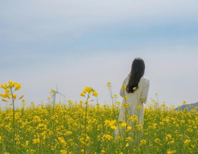 大圖