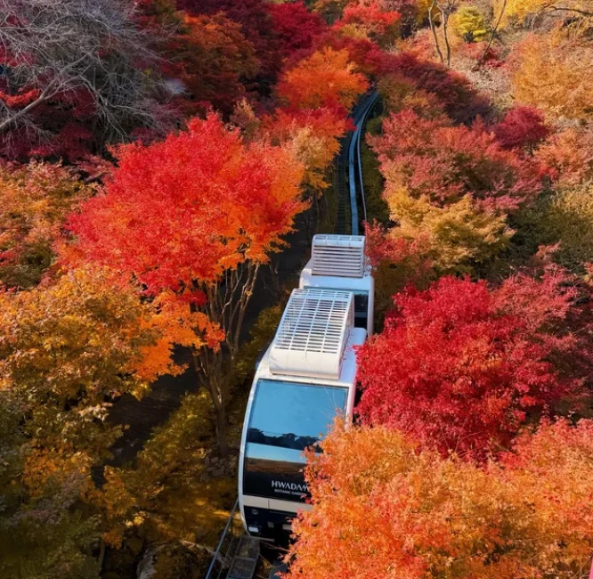 202608111152-6630219423.png image.png
