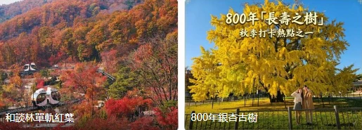 202608111330-4580962906.png image.png