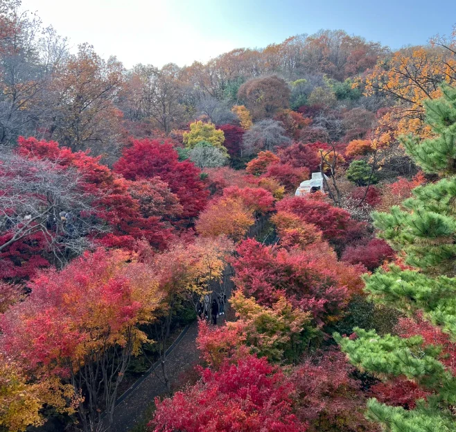 202608111355-4175454688.png image.png