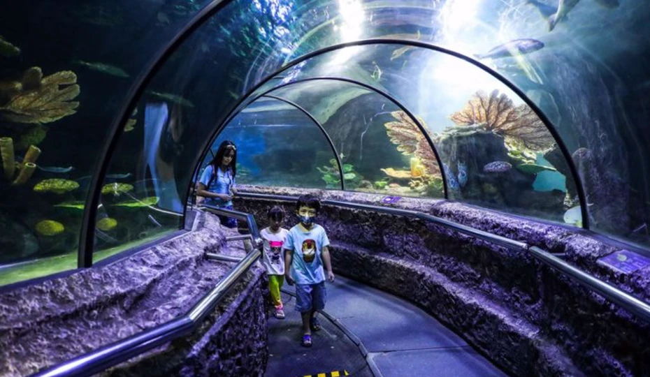 ScreenShot_2026-08-18_121152_240_webp.webp