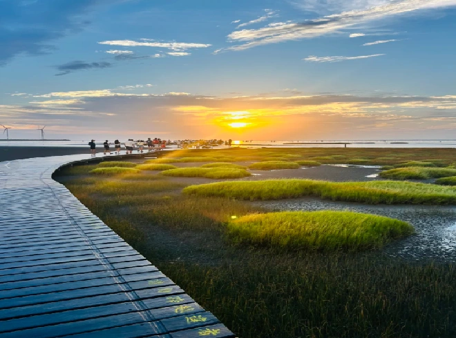 高美湿地3.webp