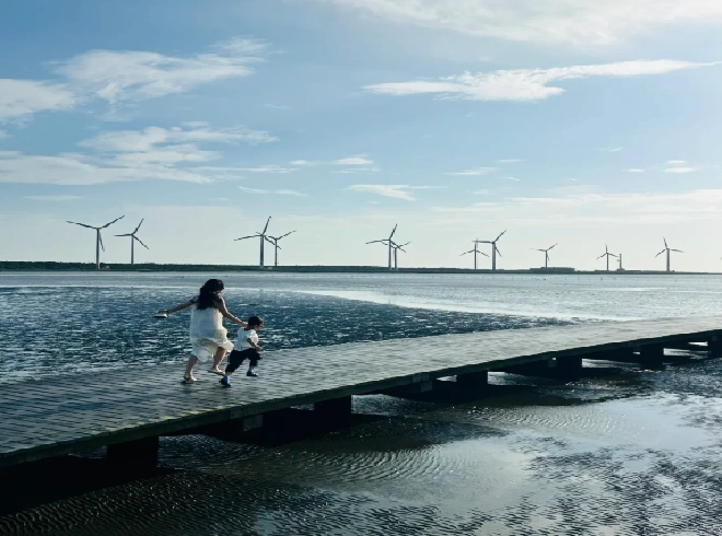 202608191114-9068146456.webp 高美湿地5.webp