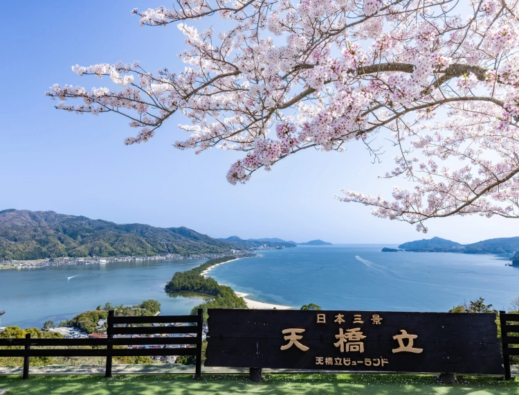 大圖