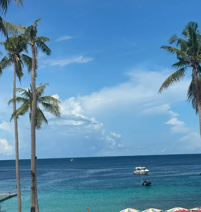 202608261453-5405101953.png 屏幕截图 2026-08-26 145340.png