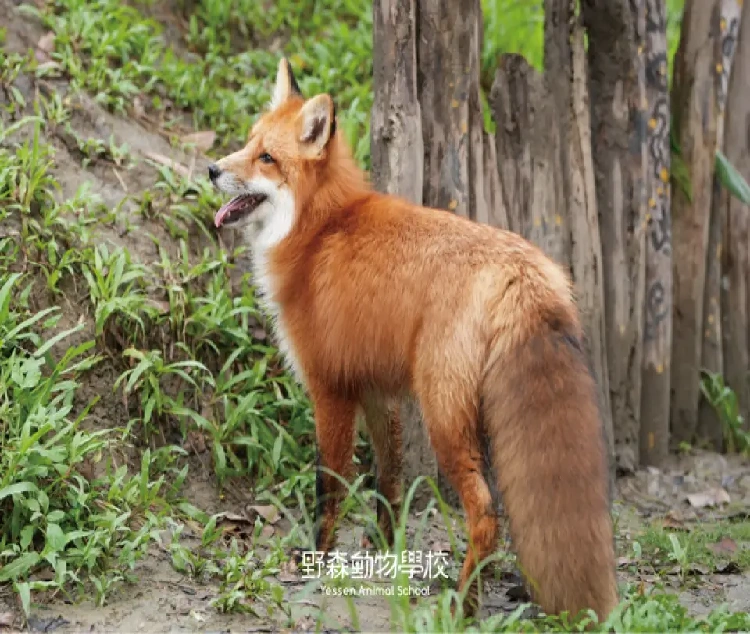 資訊配圖 3