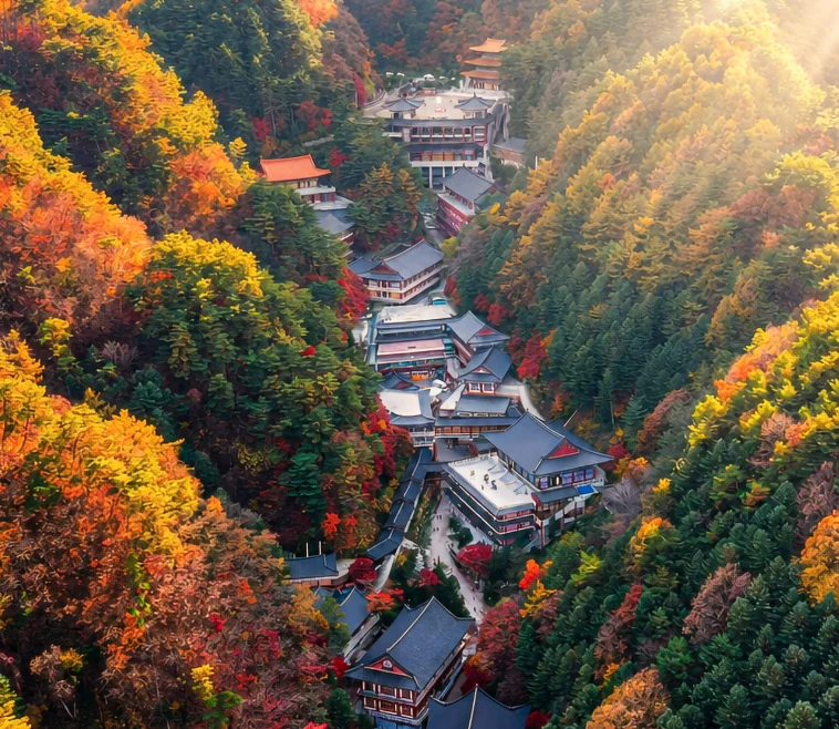 大圖