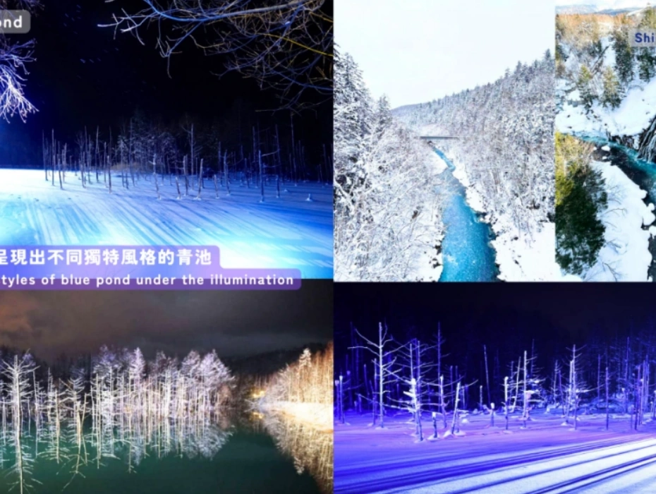 202609011141-8002632863.webp 企业微信截图_17882338821521.webp