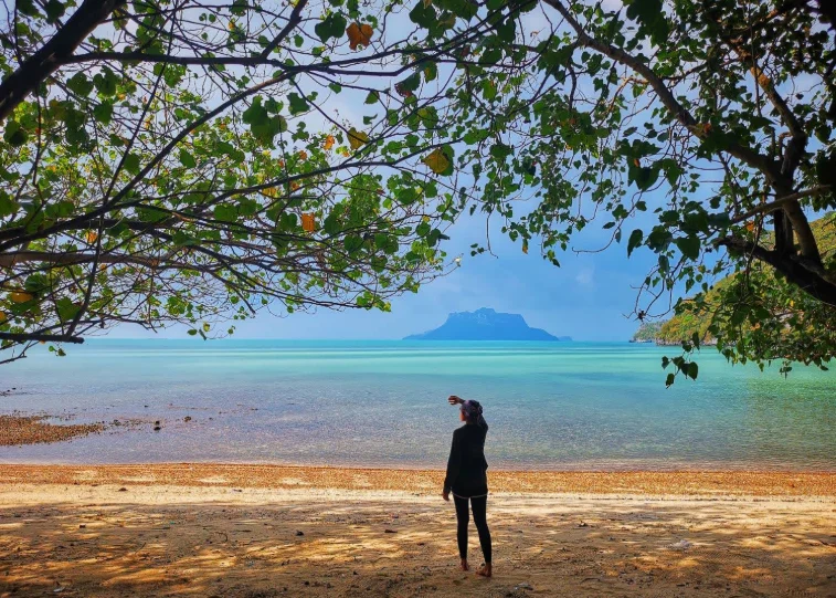 202609021635-3295266142.png 屏幕截图 2026-09-02 160252.png