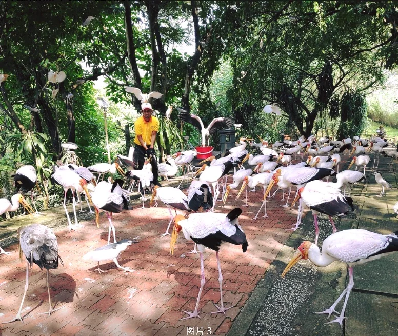 202609021705-5531517470.png 360截图20260902170211.png