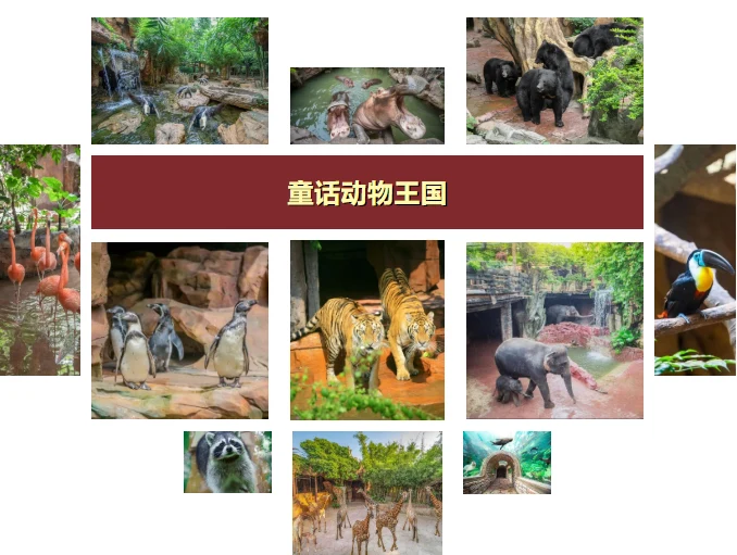 202609031154-8821190318.png image.png