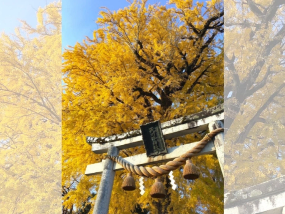 資訊配圖 2