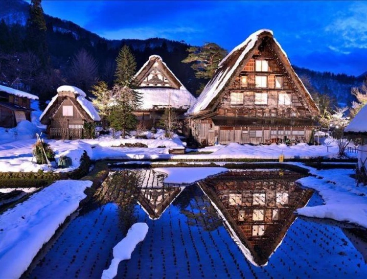 大圖