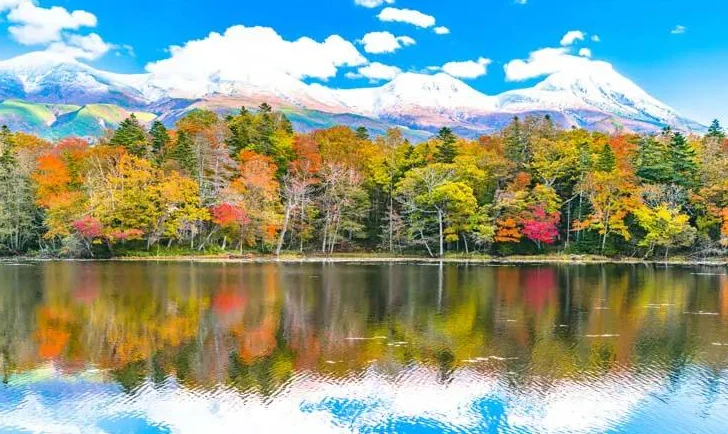 202609071653-2279655602.png image.png