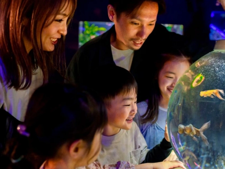 202609091718-7236616237.webp 企业微信截图_17889451398010.webp