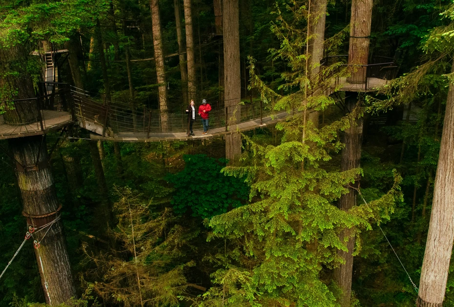ScreenShot_2026-09-14_104435_719_webp.webp