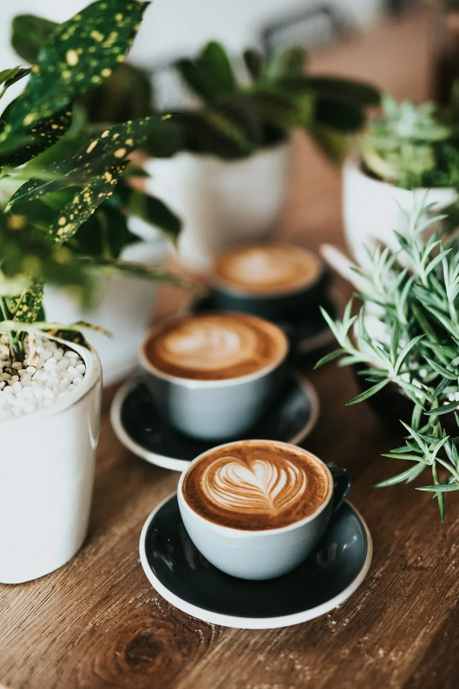 202609161012-1122684651.webp Vancouver_food_and_drink_recommendations_webp.webp