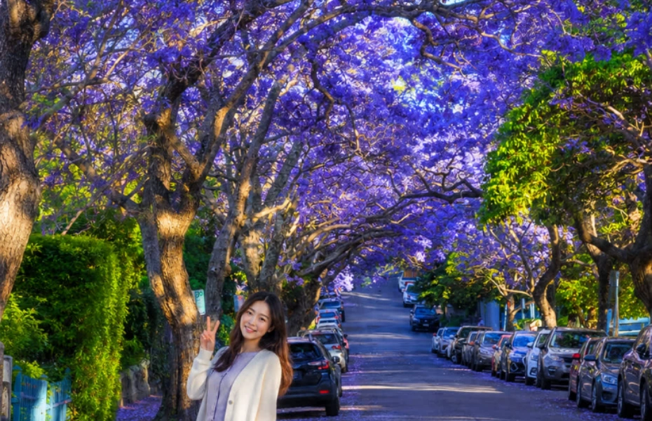 資訊配圖 3